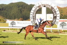 Go Racing | North and South Winning at Trentham