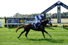 Go Racing | Taipa Tiger Winning at Rotorua