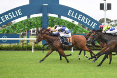 Go Racing | Fun Never Sets Winning at Ellerslie