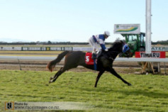Go Racing | Pinzano Winning at Timaru