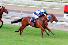 Go Racing | Zanotti Winning at Matamata
