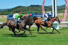 Go Racing | Waiting Winning at Greymouth