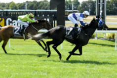 Go Racing | Vallone Winning at Rotorua
