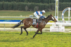 Go Racing | Elusive Boxers Winning at Oamaru