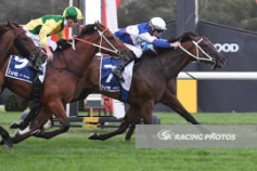 Go Racing | Logan Street Lion Winning at Sandown