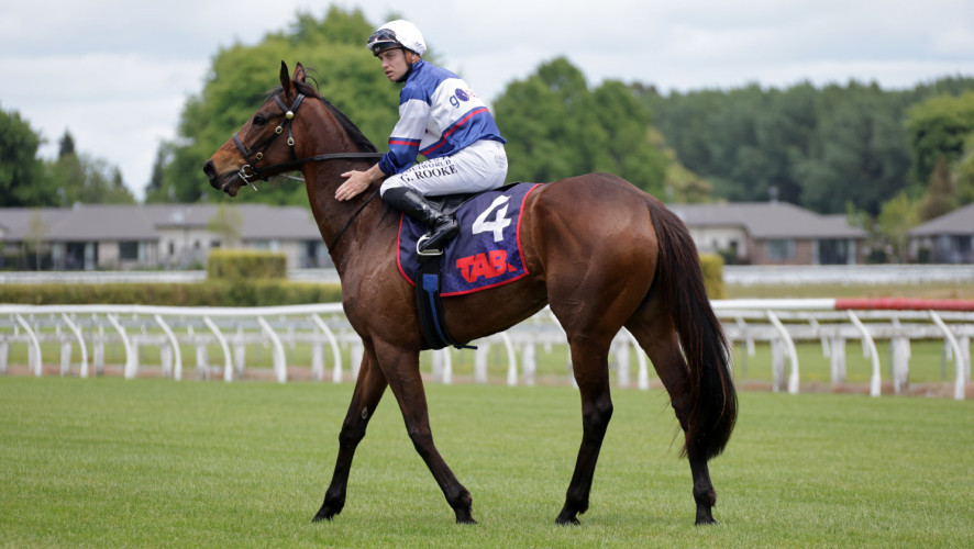 With Grace seals NZ Cup berth