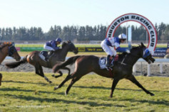 Go Racing | Pinzano Winning at Ashburton