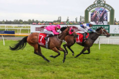 Go Racing | Darci Palmer Winning at Riccarton