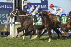 Go Racing | Mubariz Winning at Rosehill