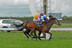 Go Racing | Attivaree Winning at Woodville