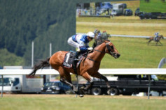 Go Racing | Passing Shot Winning at Trentham