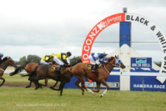 Go Racing | Taipa Tiger Winning at Egmont