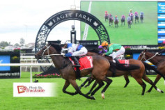 Go Racing | Logan Street Lion Winning at Eagle Farm