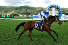 Go Racing | North and South Winning at Trentham