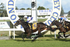 Go Racing | Make Time Winning at Avondale