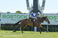 Go Racing | Elusive Boxers Winning at Hastings