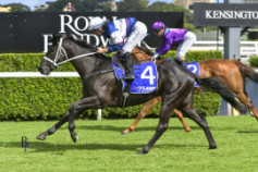 Go Racing | Wairere Falls Winning at Randwick