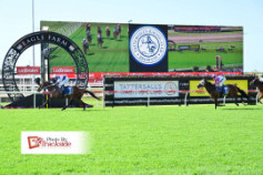 Go Racing | Chernak Winning at Eagle Farm