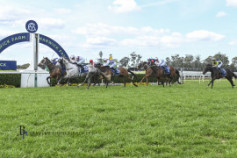 Go Racing | Al Aabir Winning at Warwick Farm