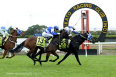 Go Racing | Vallone Winning at Te Rapa