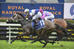 Go Racing | Atishu Winning at Royal Randwick