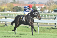 Go Racing | Scarlet's Secret Winning at Hastings