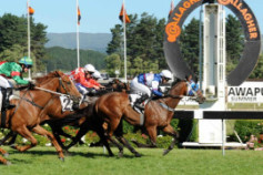 Go Racing | Charlestown Winning at Awapuni