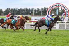 Go Racing | Art de Triomphe Winning at Ashburton