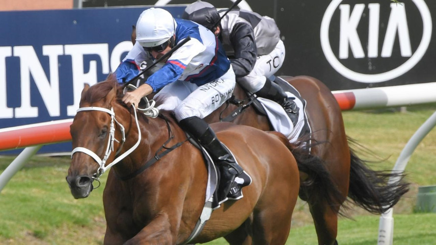 Go Racing Looking for Three Straight in Remuera