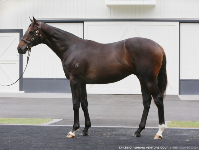 Strongbow Go Racing’s latest winner