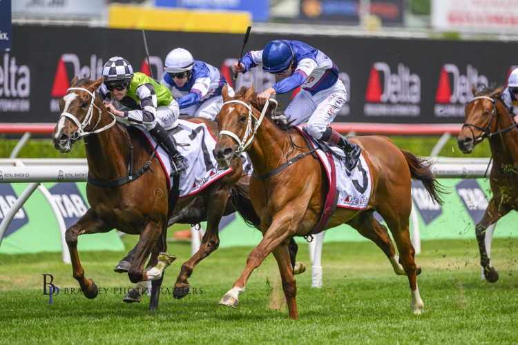 A day of near misses and bright futures for Go Racing