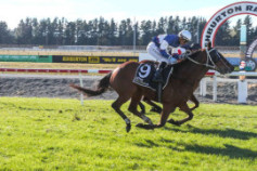 Go Racing | Deels Done Winning at Ashburton