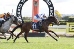 Go Racing | With Grace Winning at Te Rapa