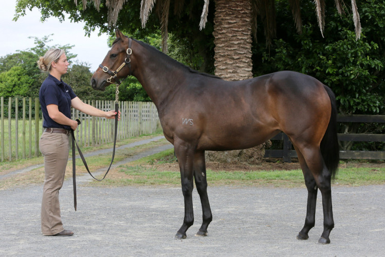 Black, Black, Black type