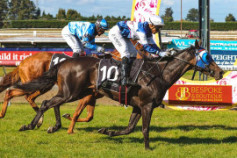 Go Racing | Iffraajable Winning at Invercargill