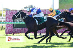 Go Racing | Stardome Winning at Eagle Farm