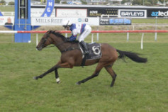 Go Racing | Rip Em Up Winning at Tauranga