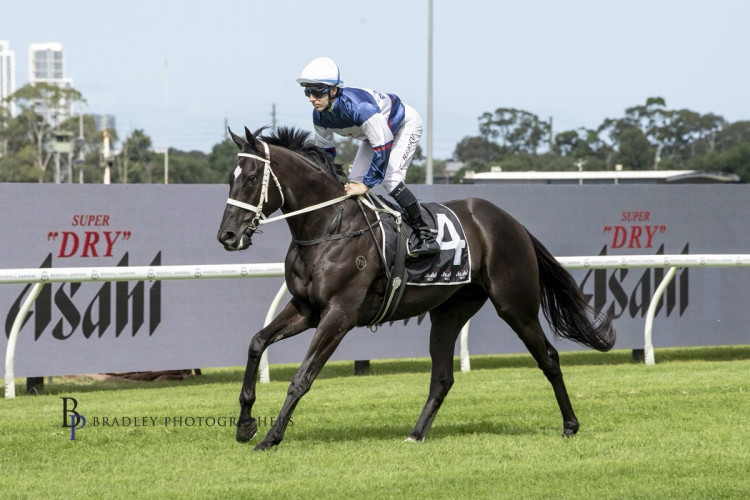 Kiwi syndicators in the Caulfield Cup