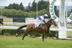 Go Racing | Mighty Solomon Winning at Awapuni