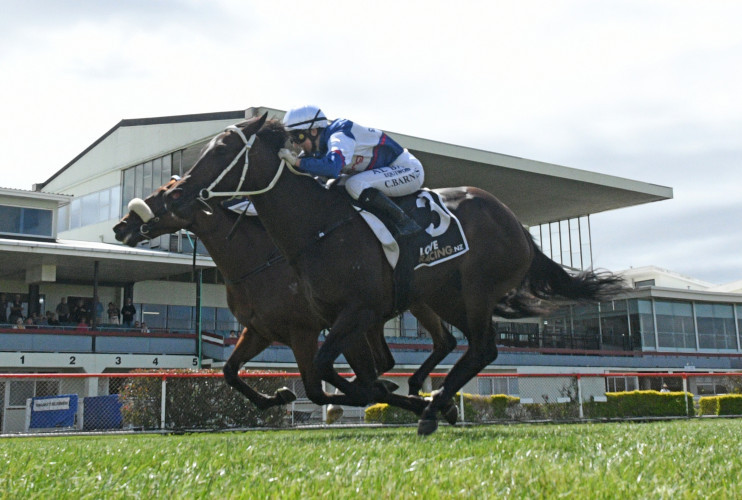 No fear about smart filly coping with more ground