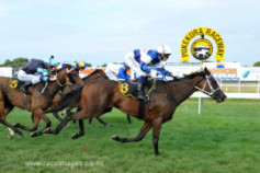 Go Racing | Attivaree Winning at Taranaki