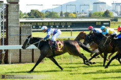 Go Racing | Scarlet's Secret Winning at Waipa