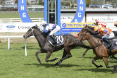 Go Racing | Waimoku Falls Winning at Tauranga