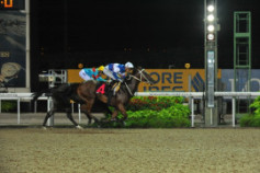 Go Racing | Stiletto Winning at Singapore