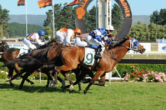 Go Racing | Mighty Solomon Winning at Awapuni