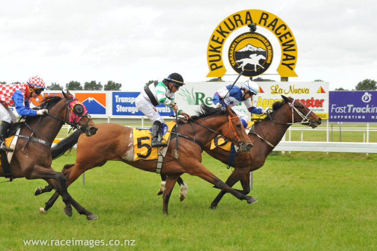 Dashing double act for Thewayyouare progeny