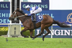 Go Racing | Mightybeel Winning at Rosehill Gardens