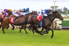 Go Racing | Freedom Reins Winning at Timaru