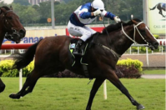 Go Racing | Chariots Of Fire Winning at Singapore