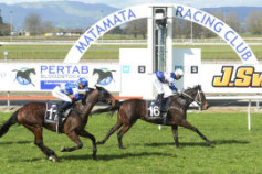 Go Racing | She's Apples Winning at Matamata